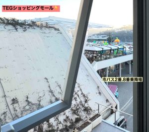 客室からの眺め
